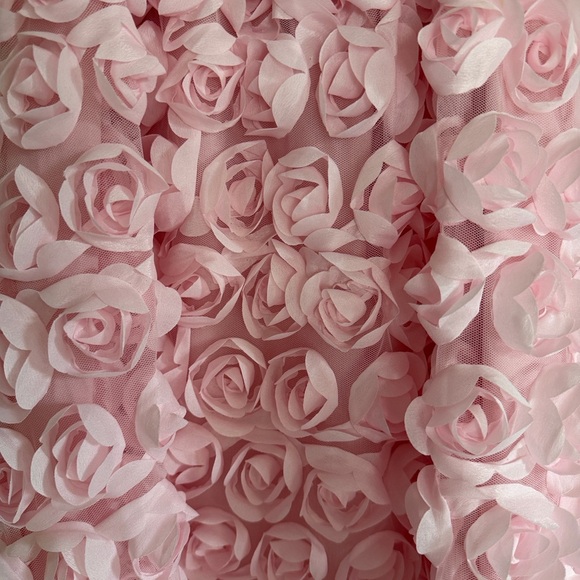 Altar'd State Pink Rose Mini Dress - Picture 3 of 4